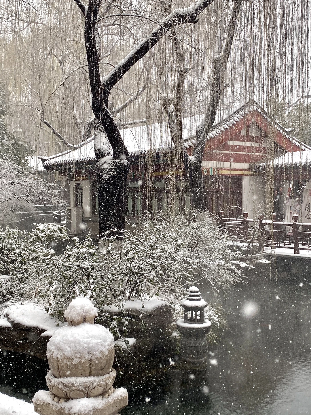 济南今天杀疯了！！！！！！！！！！！