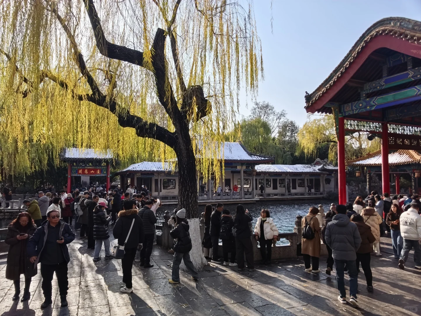 12月15日趵突泉实况