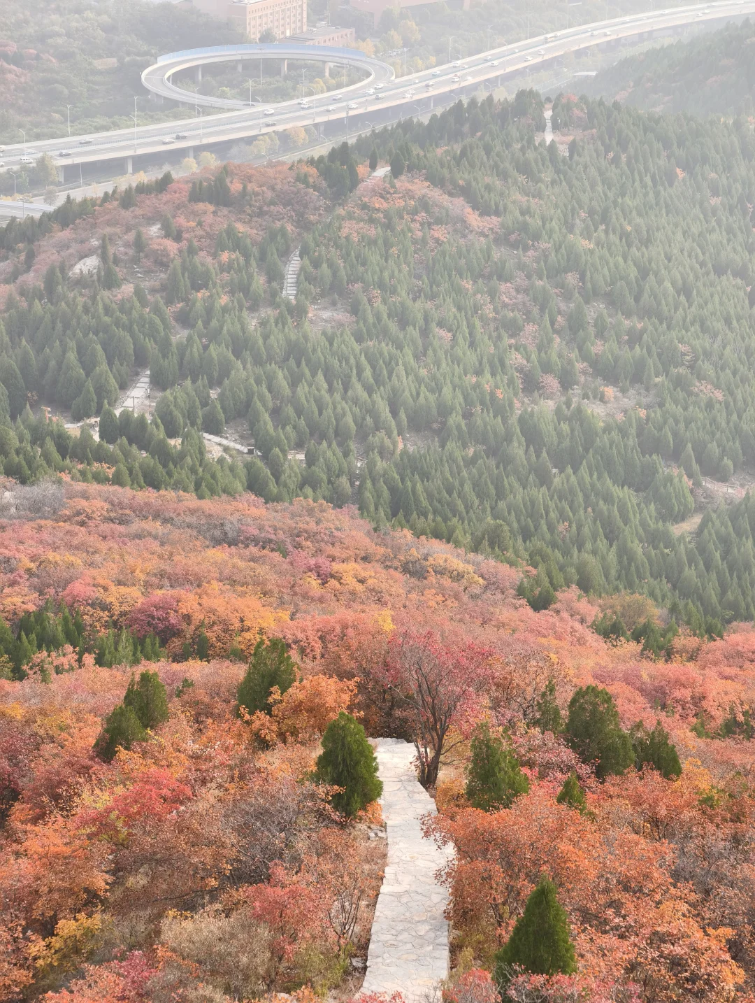 老舍没骗人秋天请到济南来看看吧