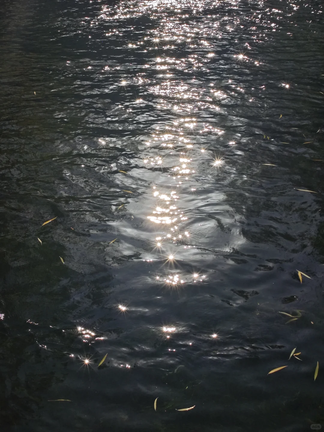 济南能量最强的地方