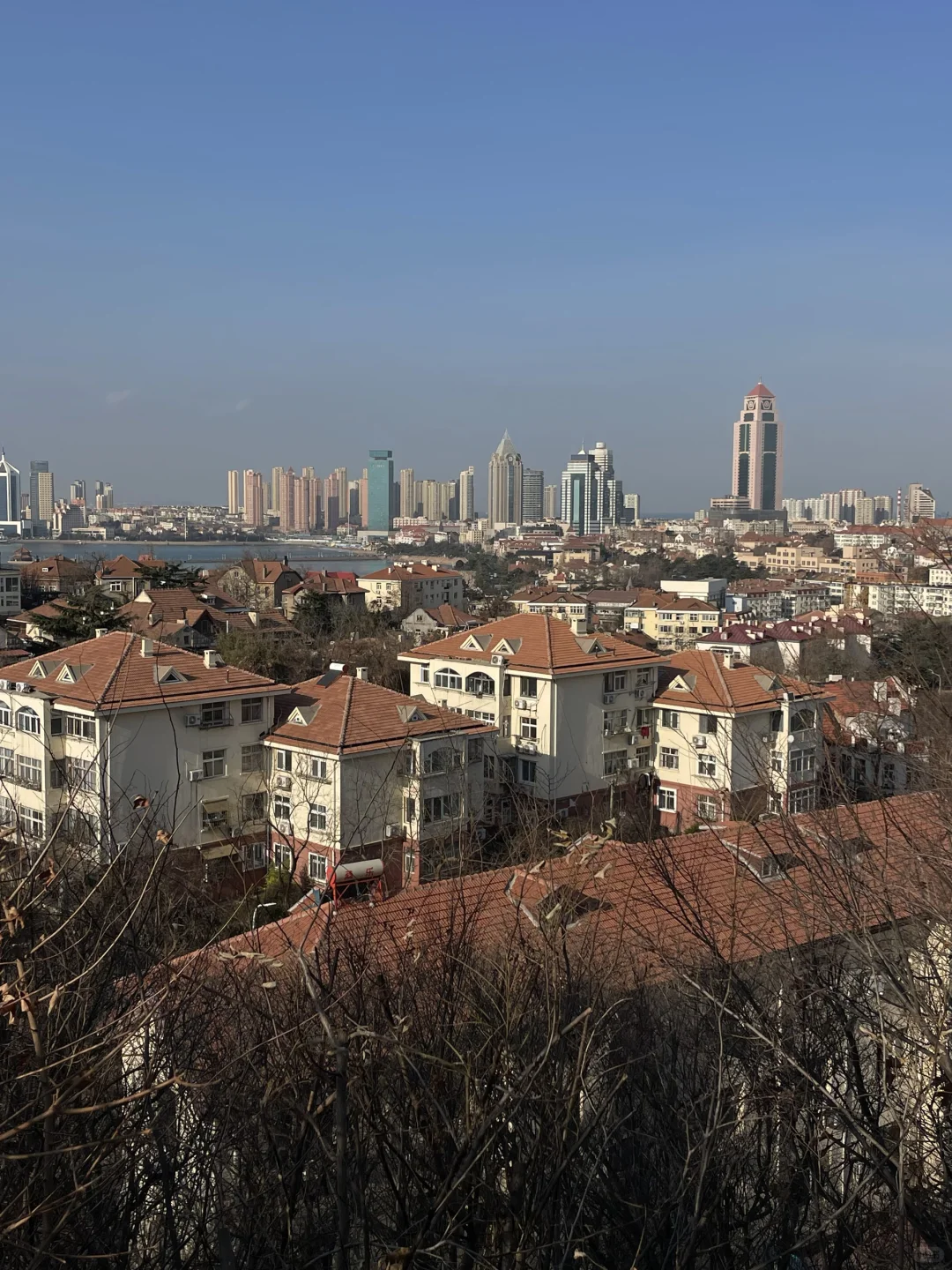 三天爱上青岛🍺