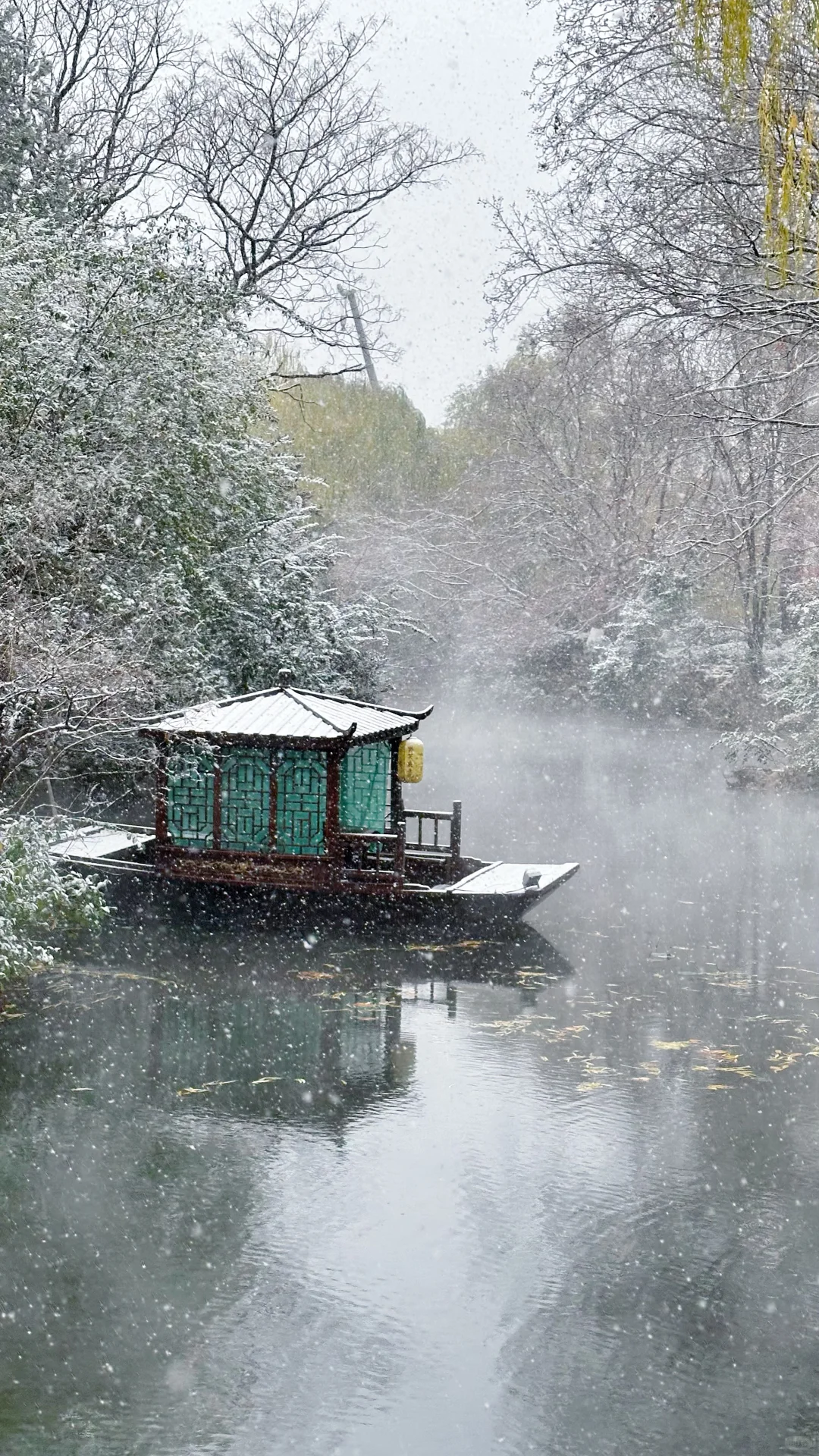 2025.12.12 ❄️济南初雪变大雪！！
