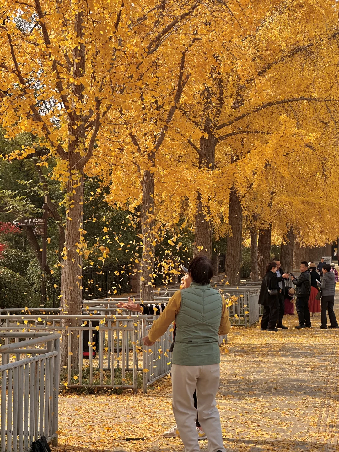 济南此刻！！今天的英雄山杀疯了啊啊啊啊！！🍁
