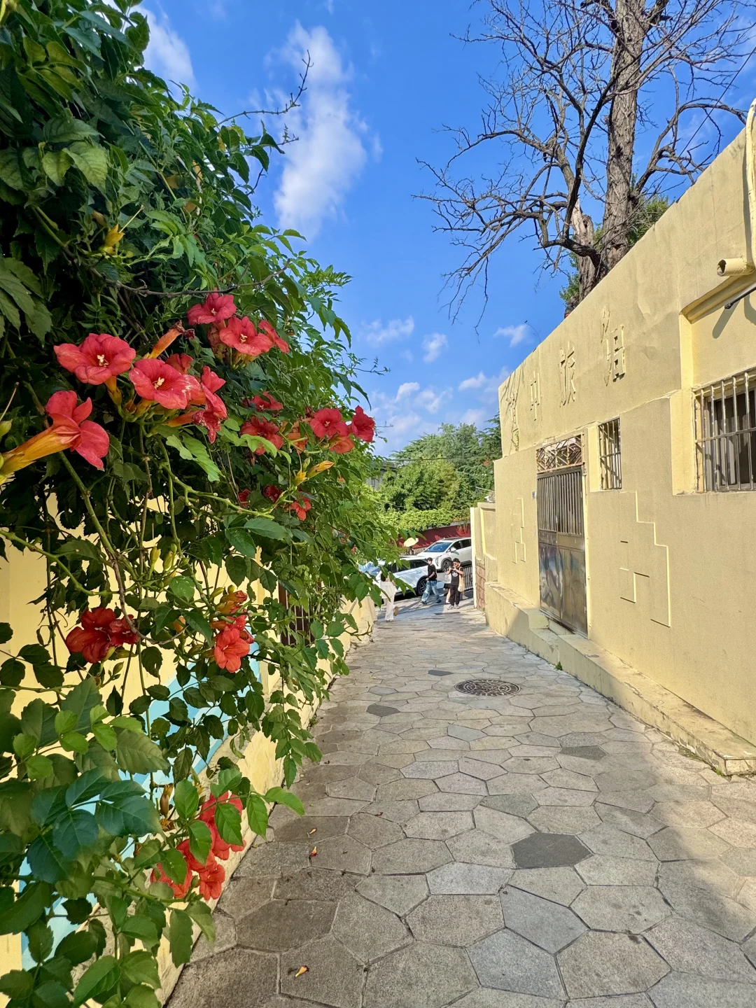 个人认为青岛最值得逛的citywalk路线(老城)