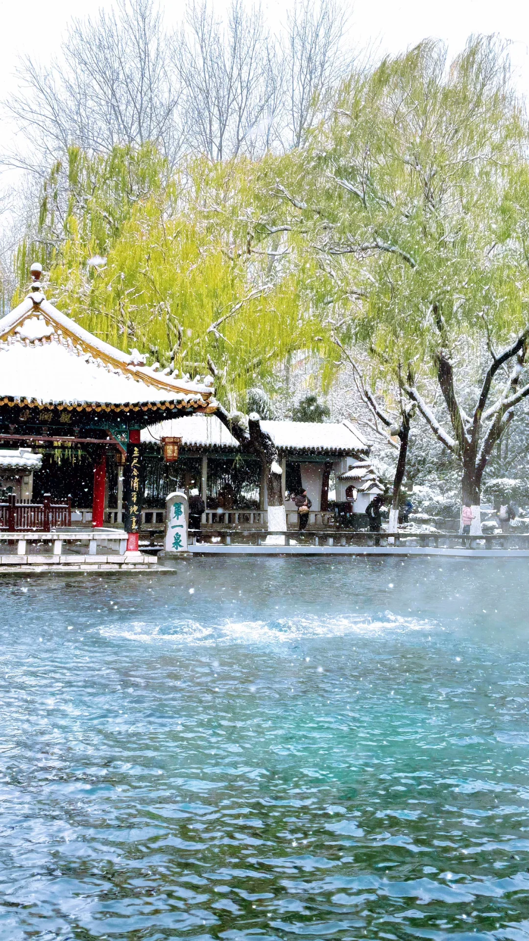 Live济南初雪！趵突泉在雪中沸腾成仙境️❄️