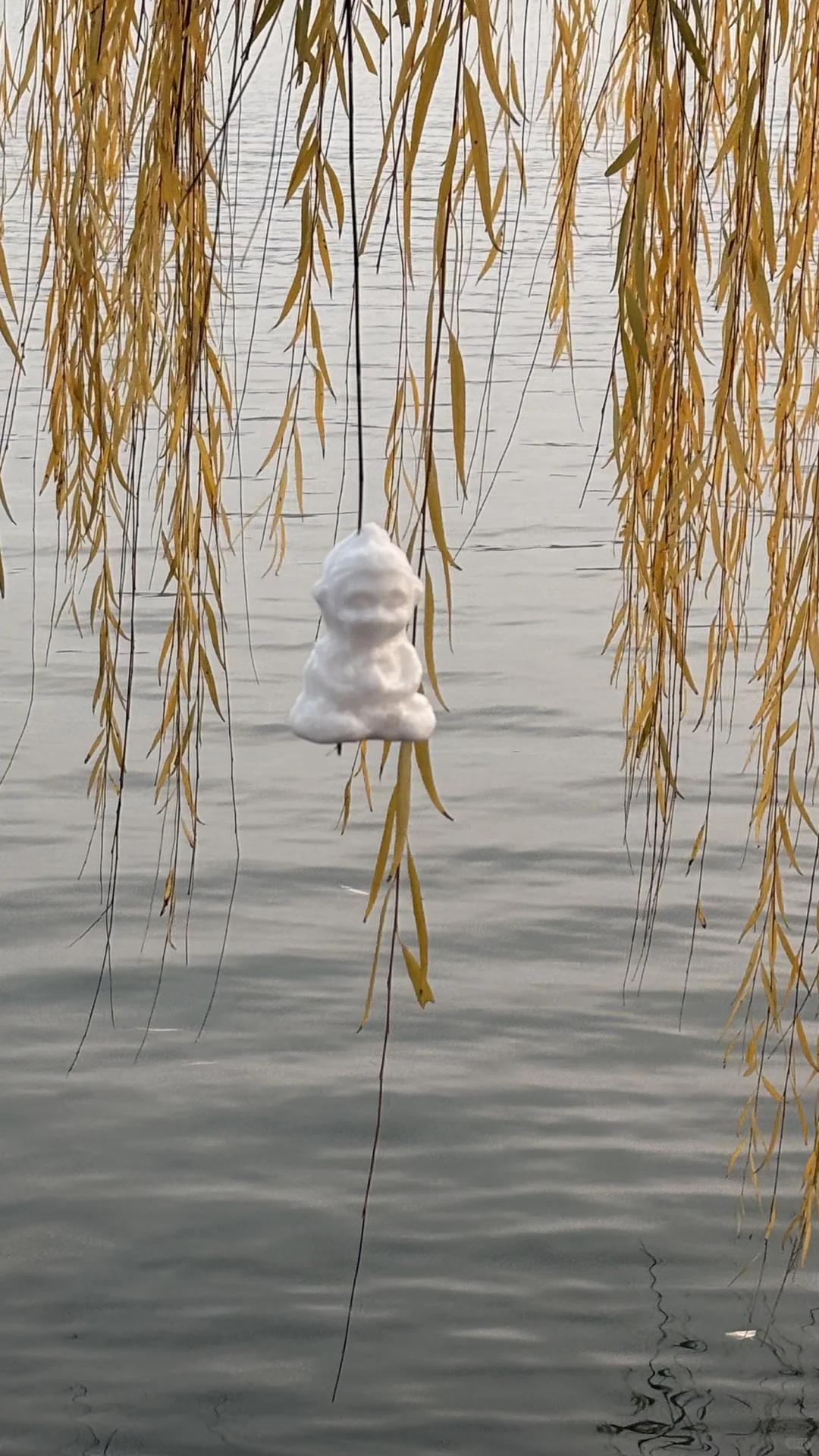 济南大明湖 大家真的太可爱了