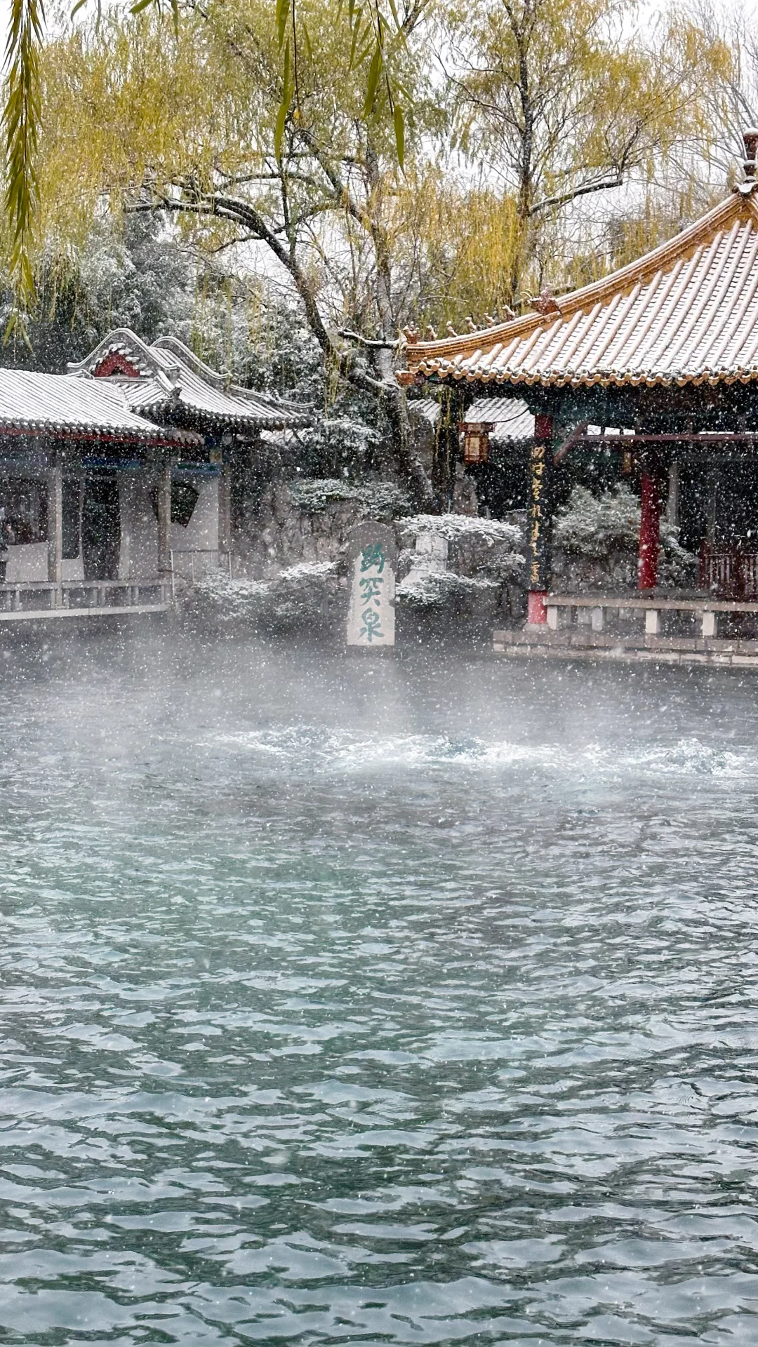 2025.12.12 ❄️济南初雪变大雪！！