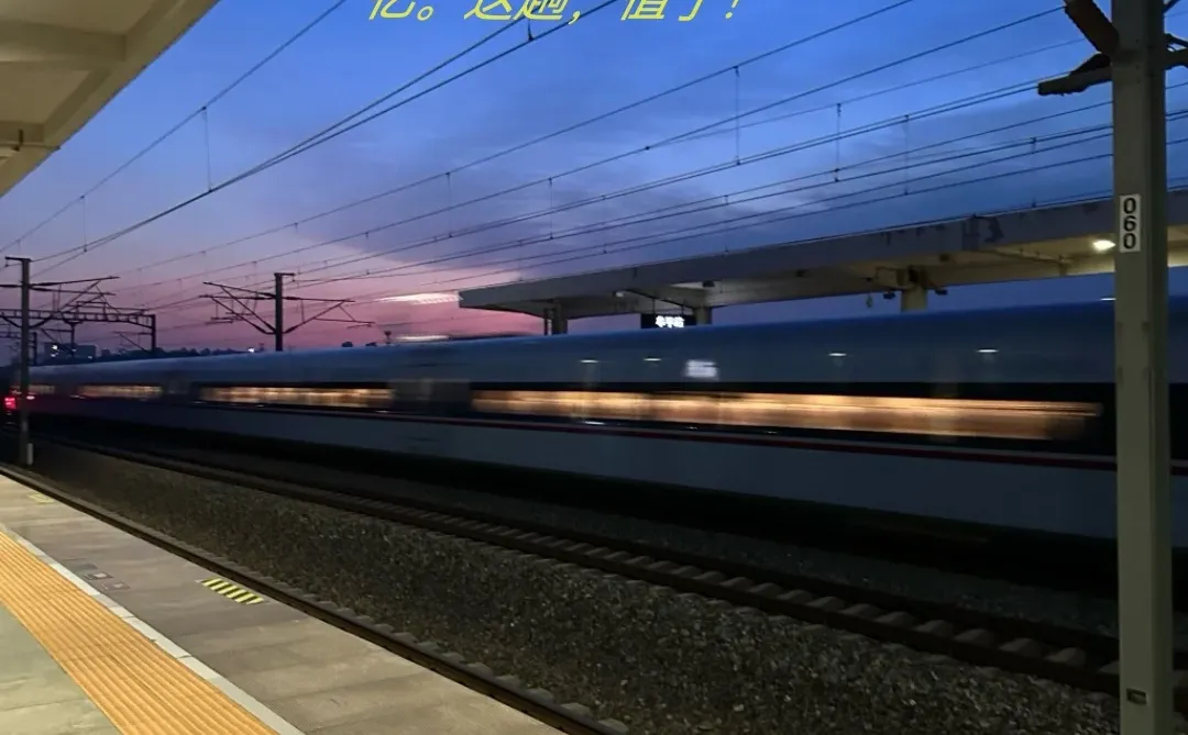 青岛📍特种兵两天一夜游