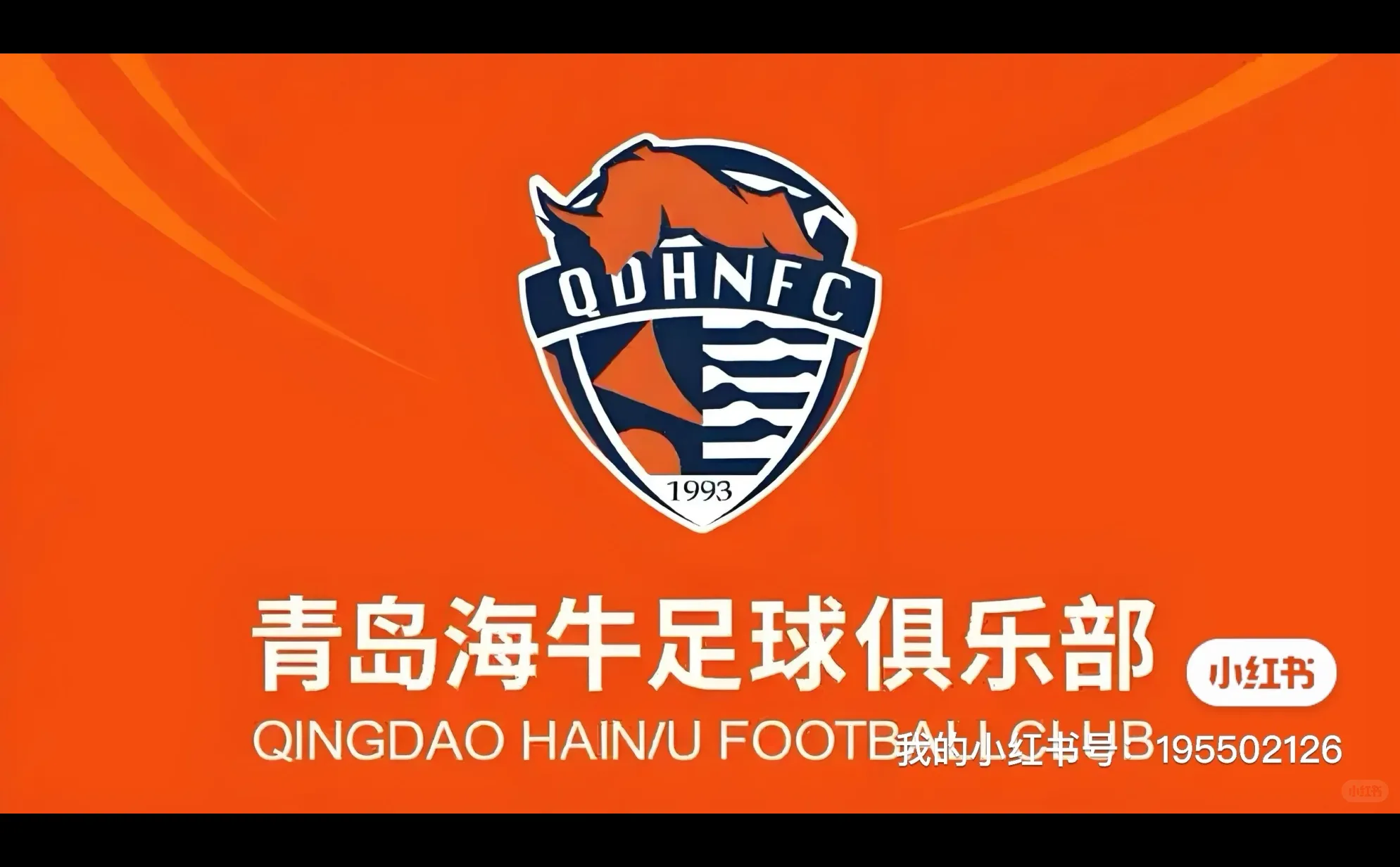 12月18日青岛海牛足球队核心信息汇总