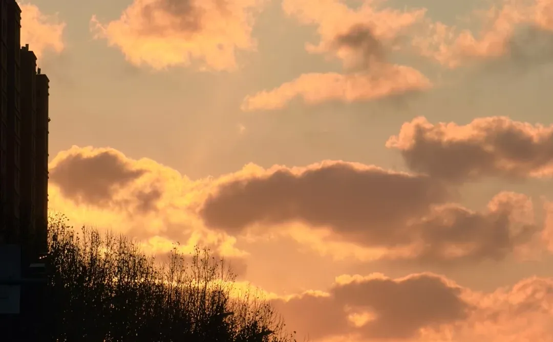 青岛·藏在世园会的教育基地