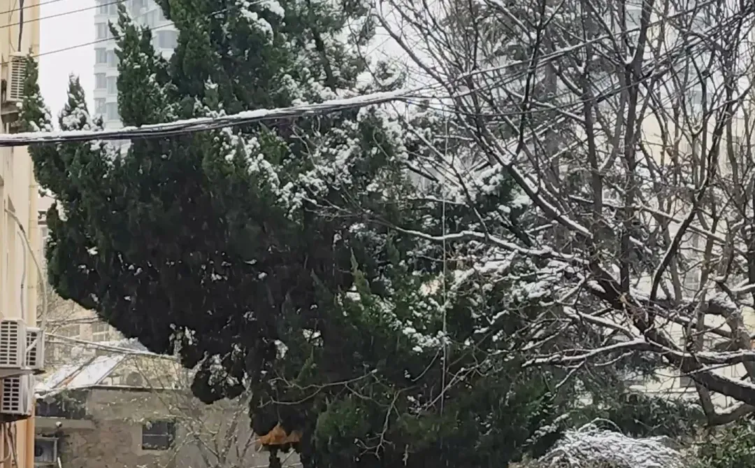 青岛天气穿衣实况❄️12月13日还在下雪~