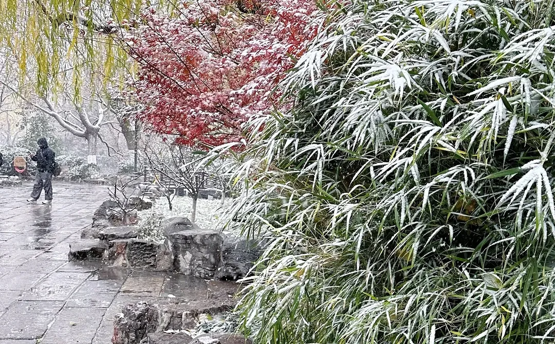 2025.12.12 ❄️济南初雪变大雪！！