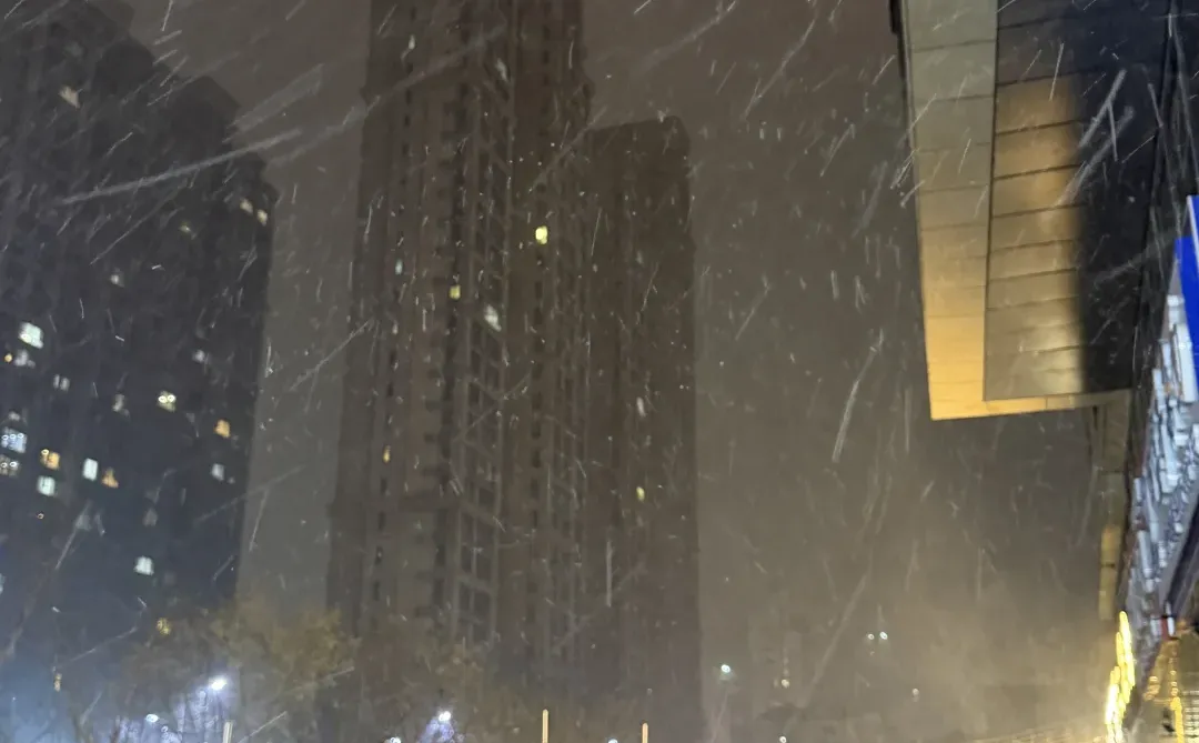 青岛下雪了❄️