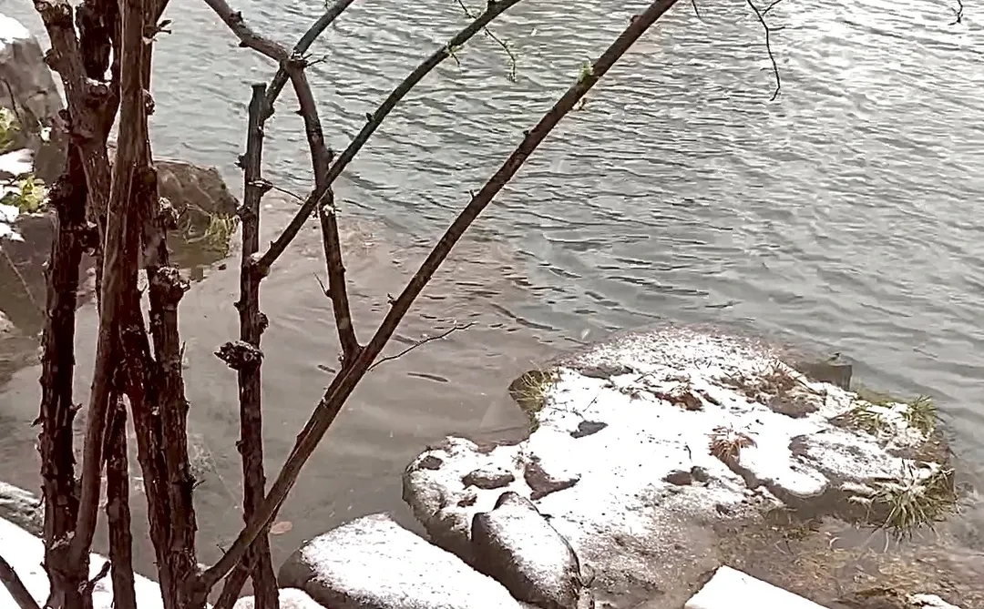 济南今天杀疯了！！！！！！！！！！！