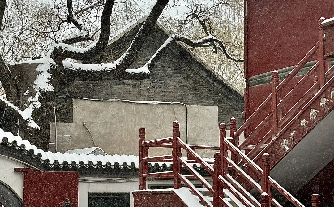 济南12.12实况，暴雪中的趵突泉已经美疯了….