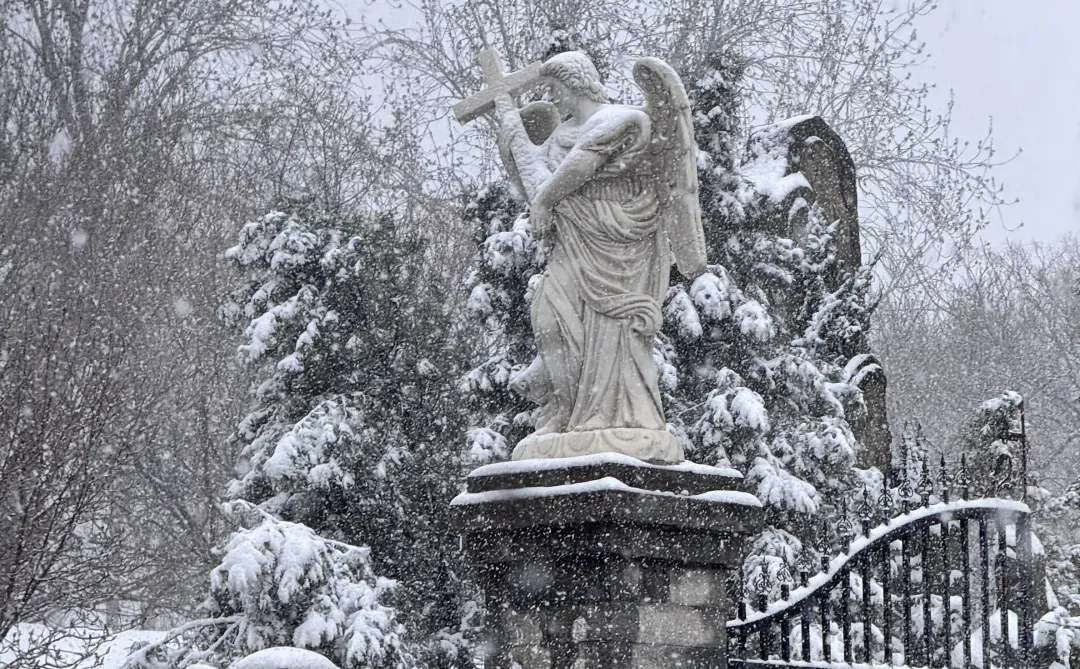 1212济南大雪实况！雪中的洪家楼教堂美呆了