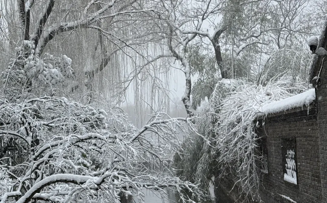 济南12.13实况，暴雪中的大明湖已经美疯了….
