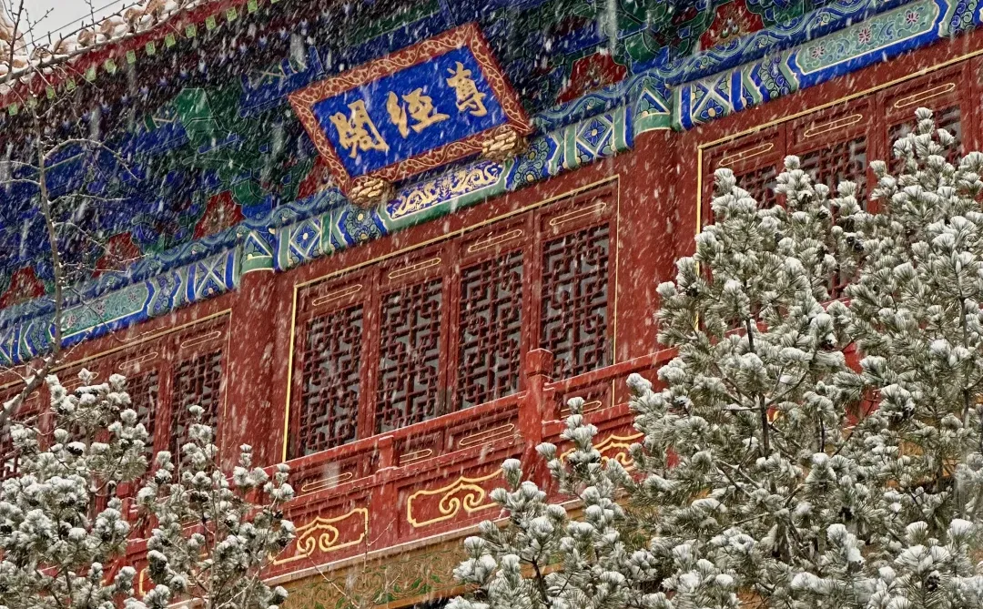 实况live！济南初雪❄️美疯了啊啊啊啊！！！！！