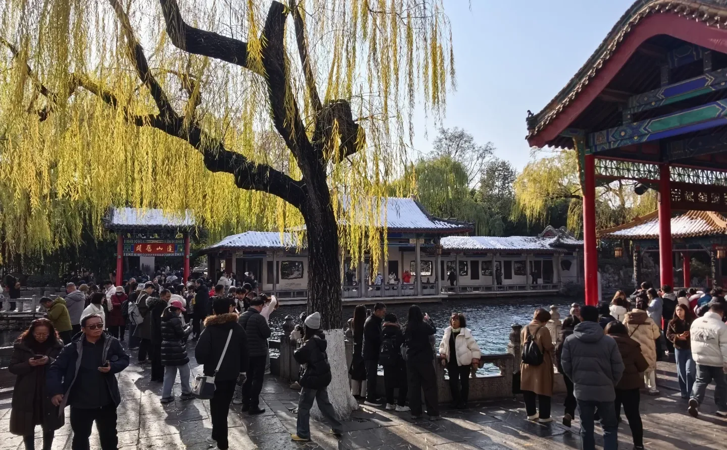 12月15日趵突泉实况