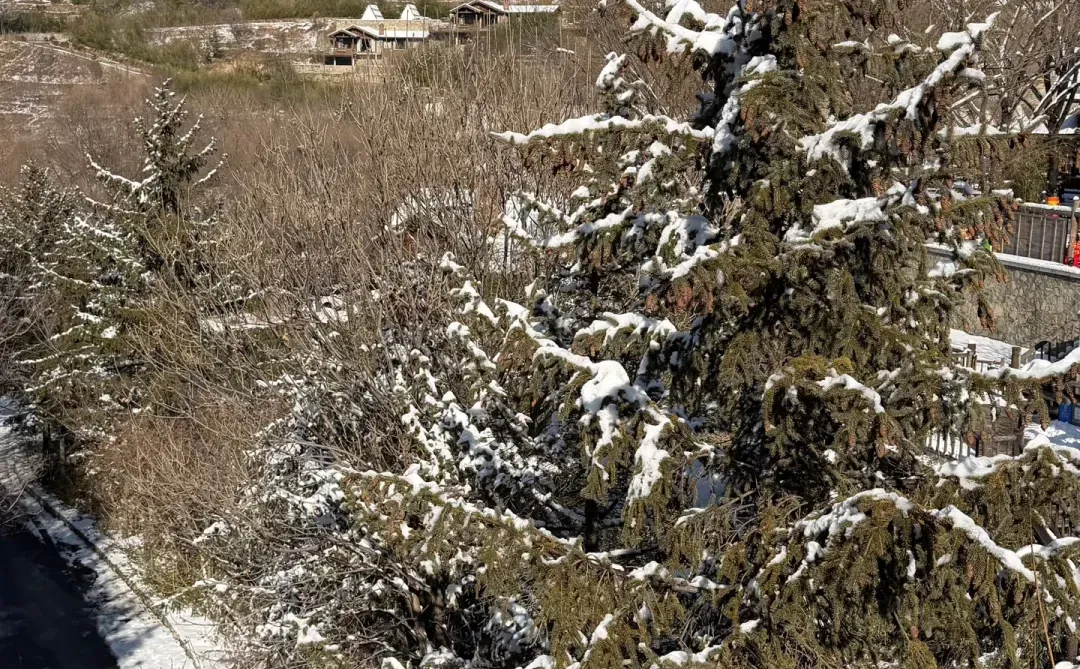 12.14九如山现状❄️