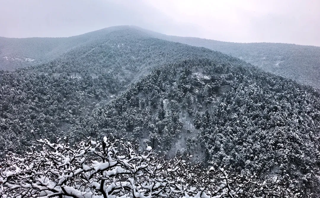 不是玉珠峰去不起，而是龙洞更有性价比