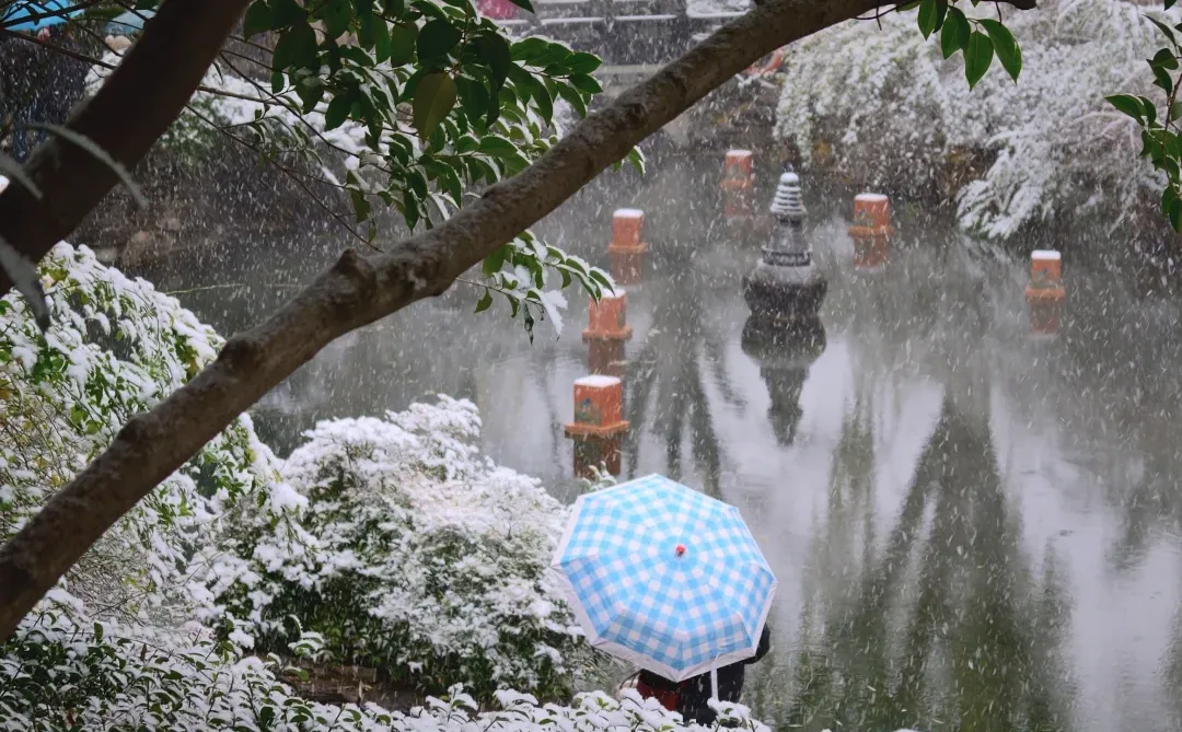 济南！！趵突泉的初雪真的杀疯了！😱