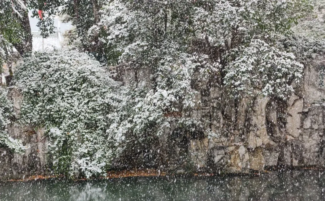 雪中趵突泉，美疯了