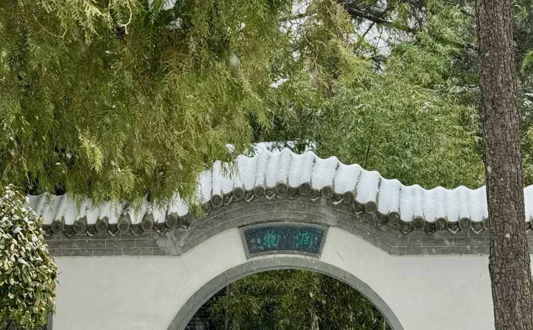 12.13实况！暴雪中的济南杀疯了！美哭😭😭😭