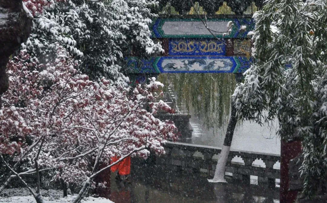 “这就是冬天的济南”