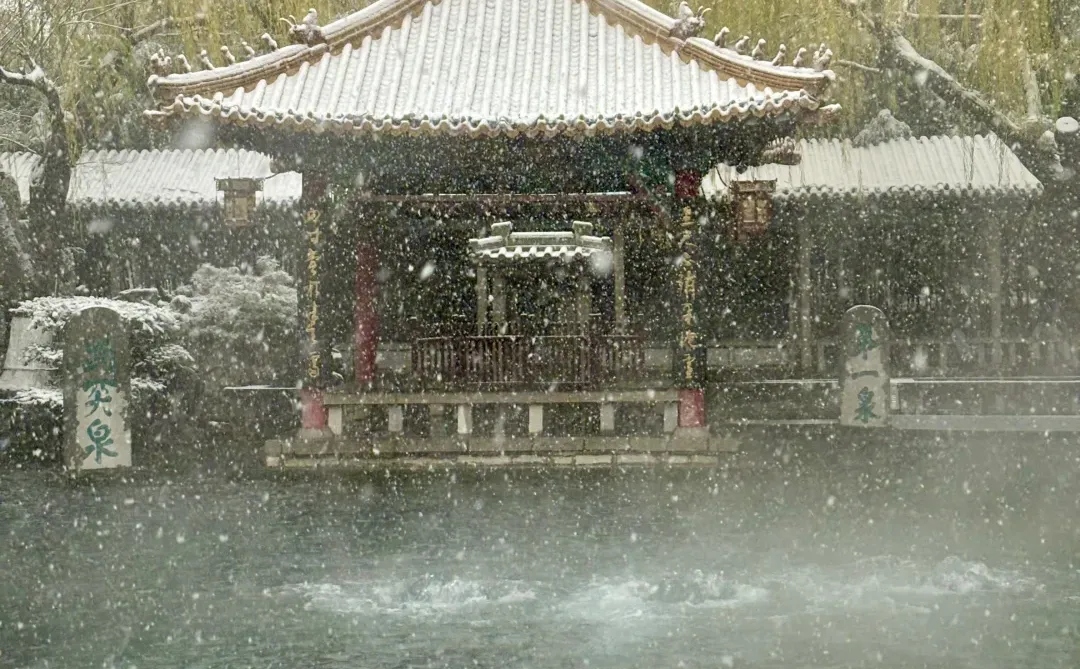 12.12趵突泉live❄️济南的初雪如约而至