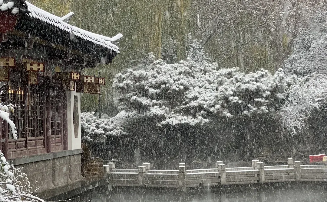 济南12.12实况。。。暴雪中的趵突泉杀疯了！！