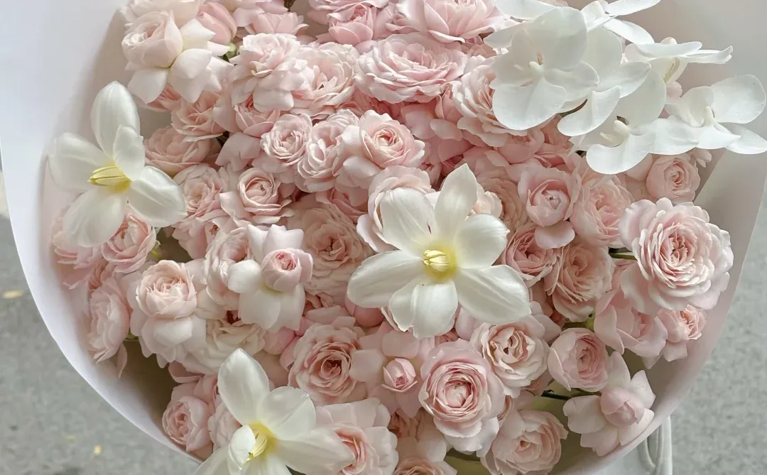 济南花店｜仙子之吻搭配蝴蝶兰，少女心满满