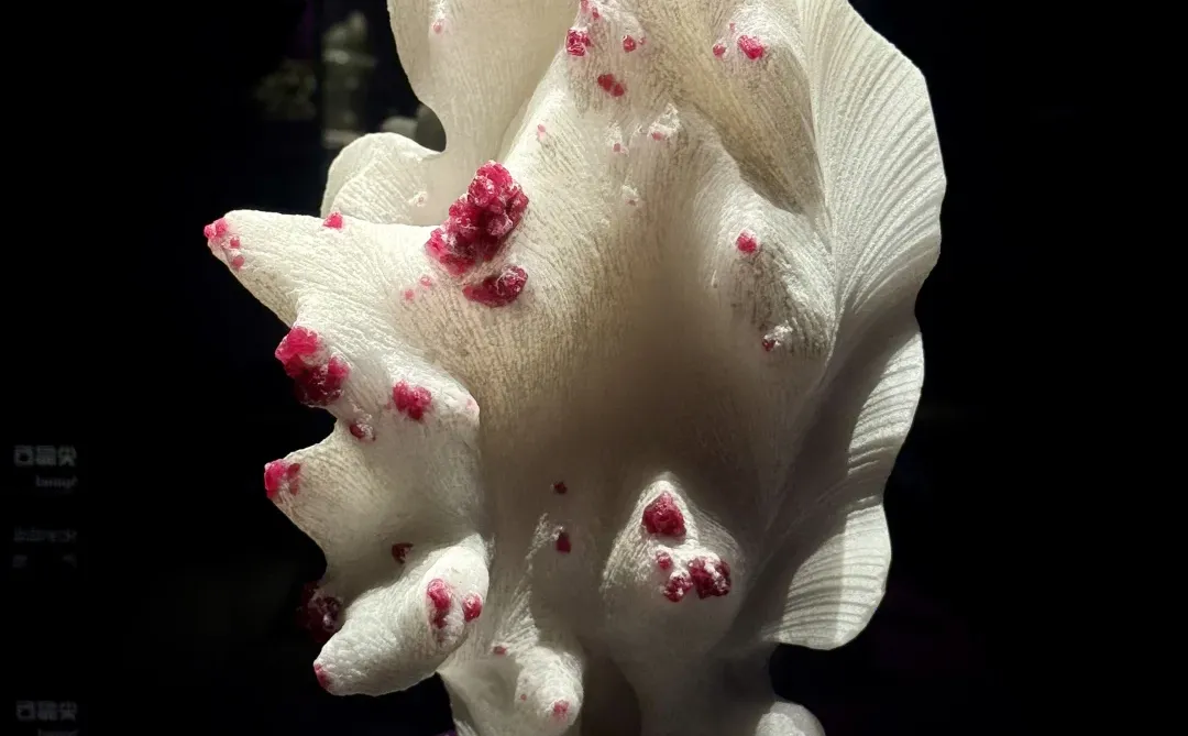 山东博物馆欠全国一个解释？？？？？？？？？？