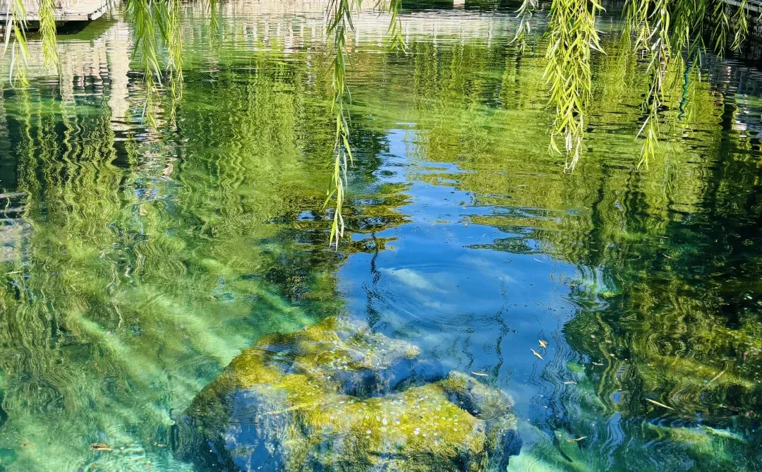 接下来的济南是这样的！泉水citywalk攻略🩵