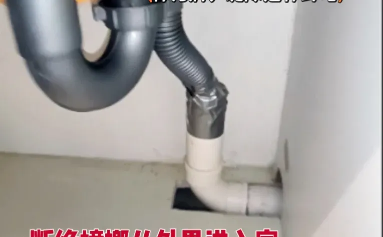 268的除虫套餐，千万别错过！（仅限济南）