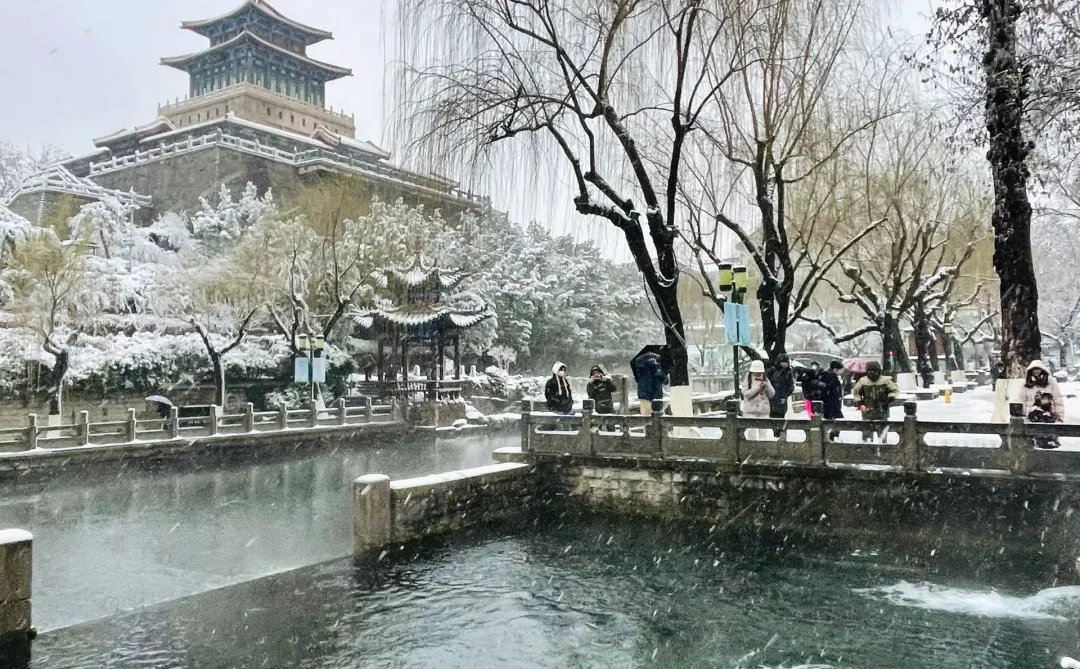 暴雪中的济南府已经美到了next level