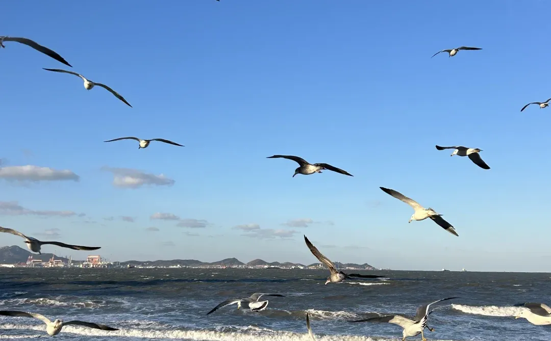 烟台！！12·11实拍！又是浪漫的一天啊