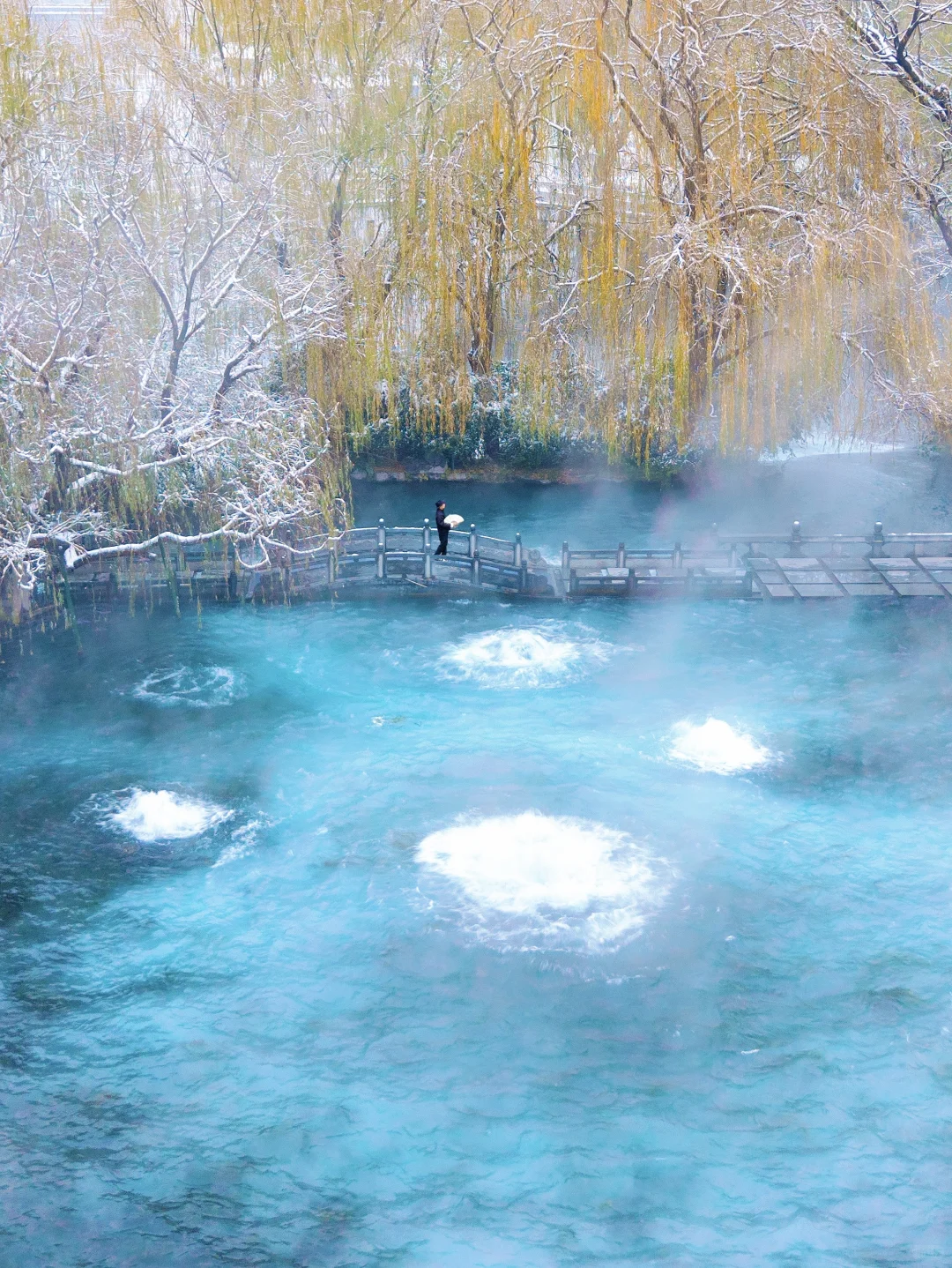 老舍没骗我❗️下雪的济南真的美疯了‼️‼️