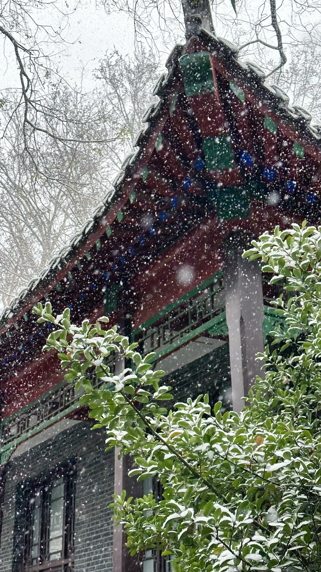 2025.12.12 ❄️济南初雪变大雪！！