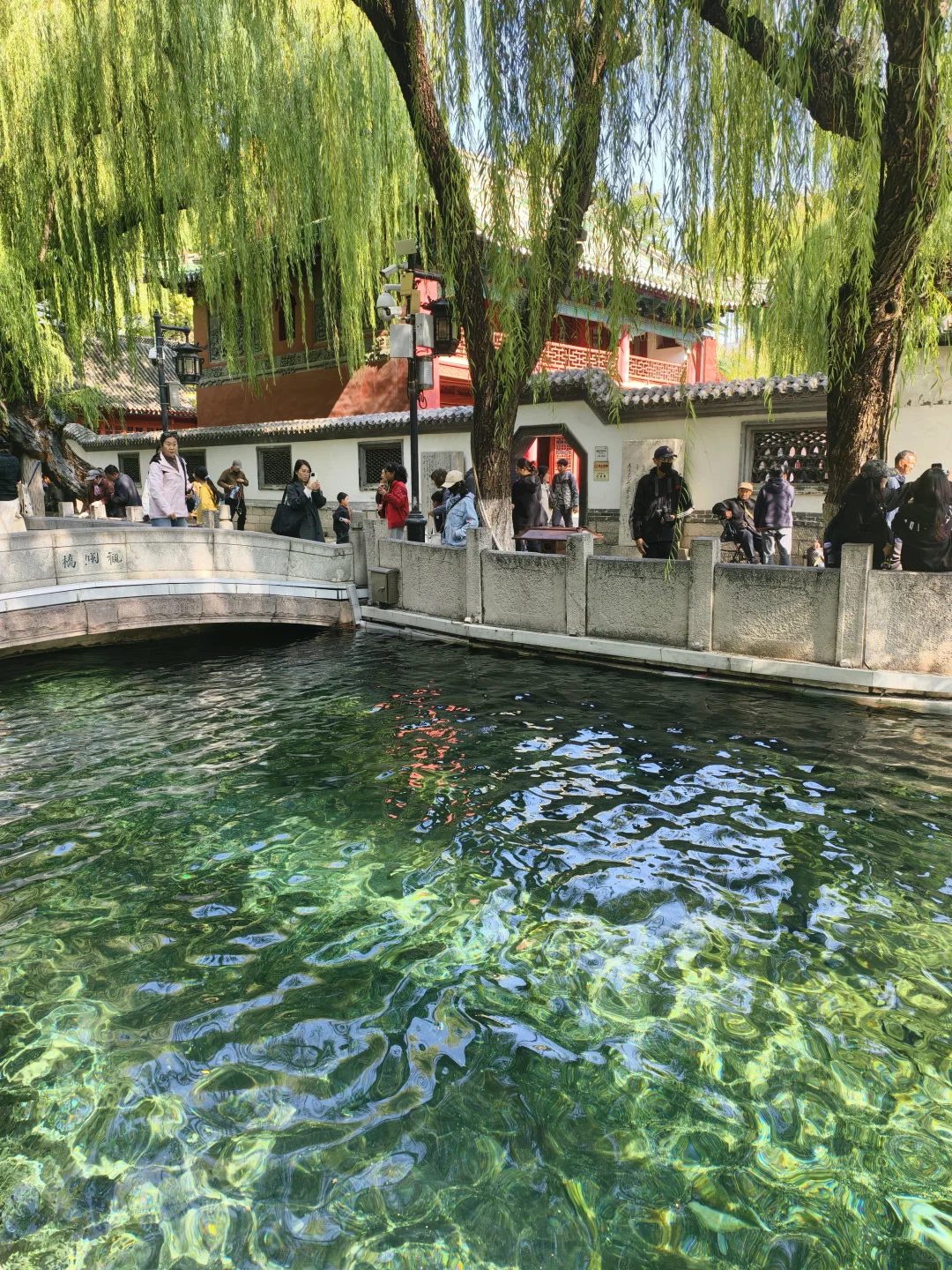 老舍没骗人秋天请到济南来看看吧