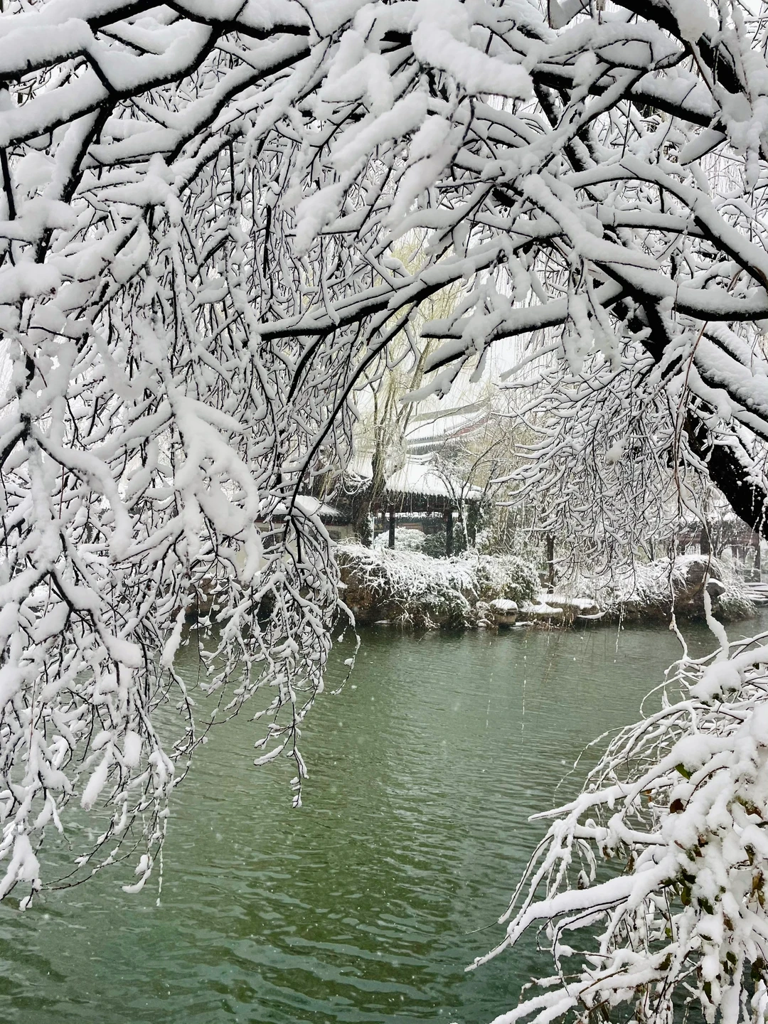 暴雪中的济南府已经美到了next level