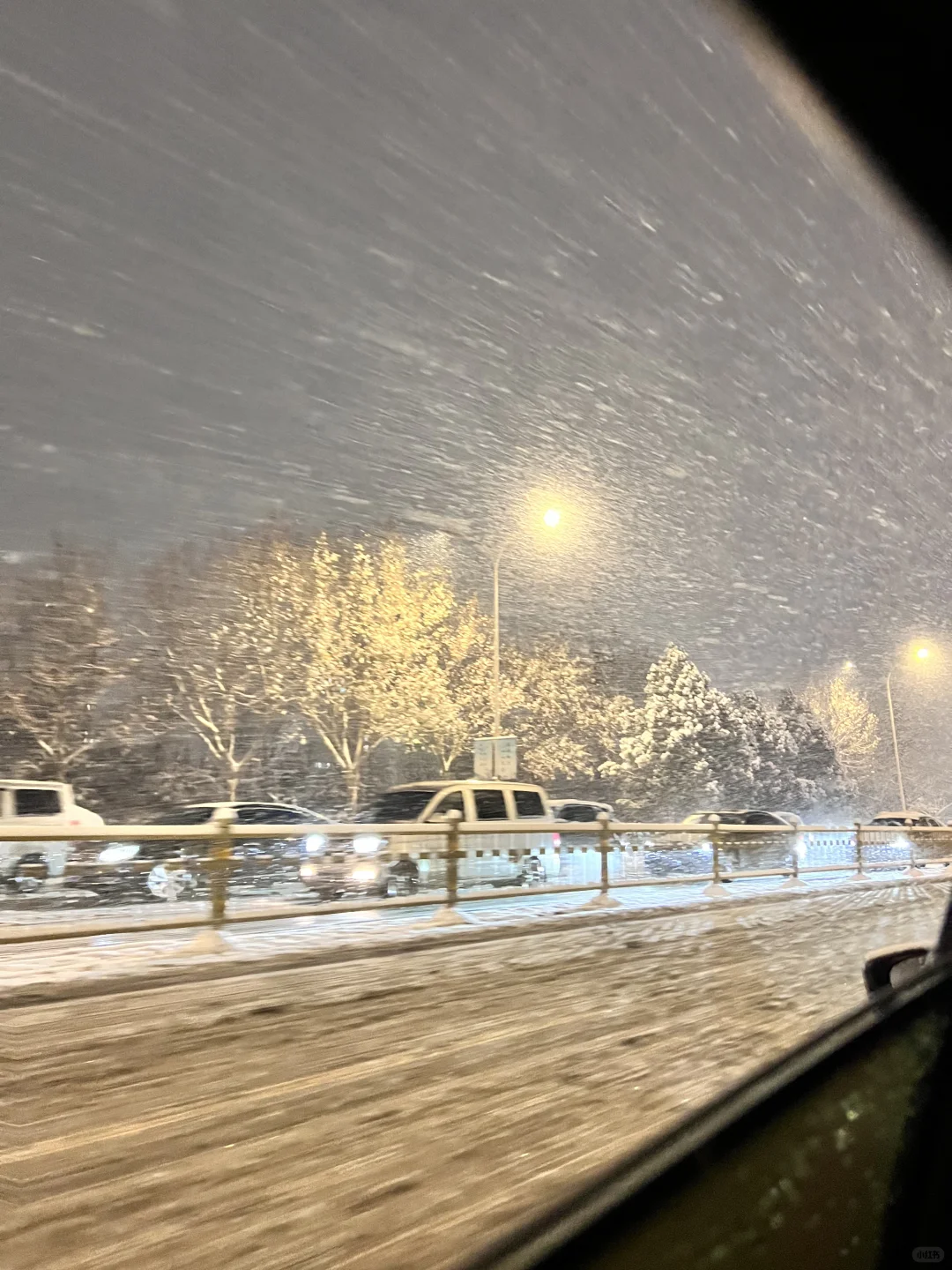 济南这场雪是要美死谁嘛🥹