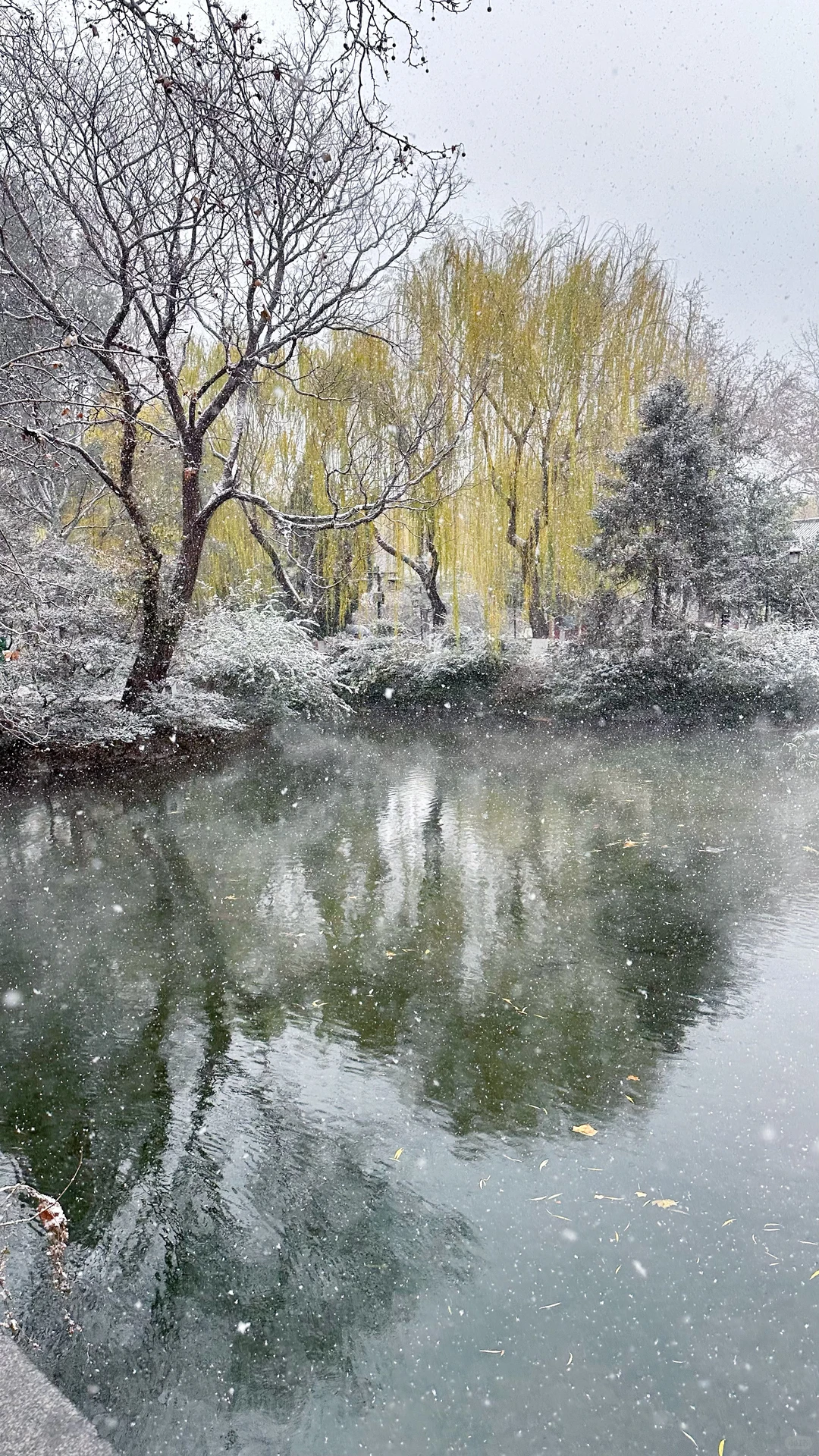 2025.12.12 ❄️济南初雪变大雪！！