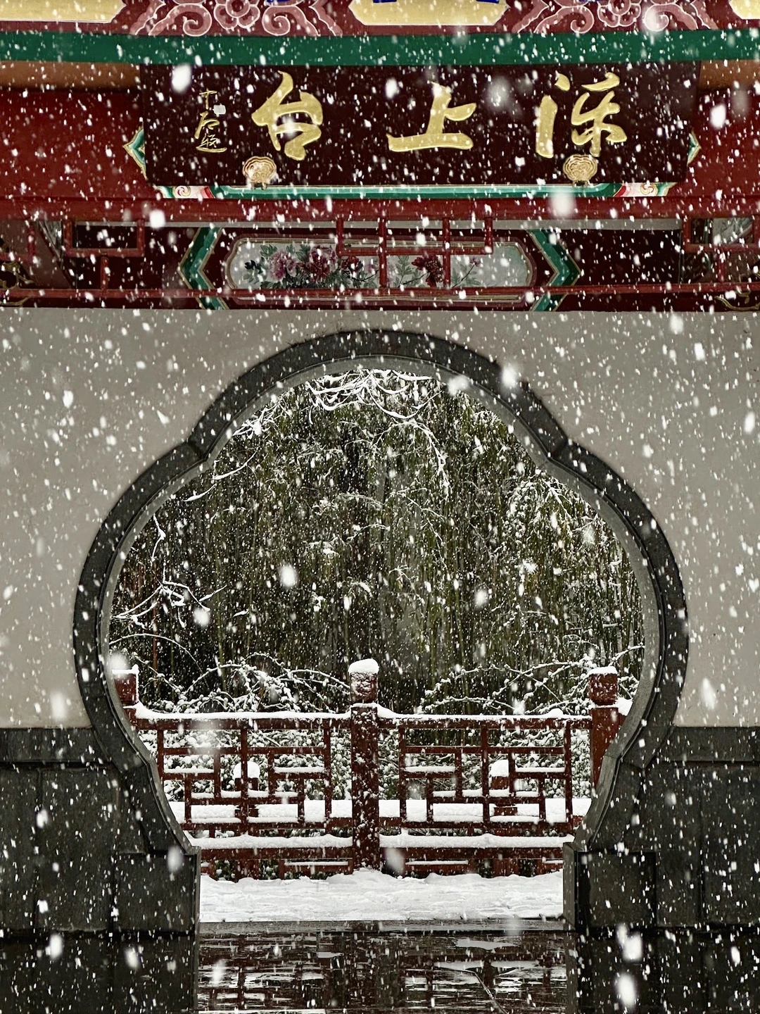 济南！雪中趵突泉杀疯了！！！！！！！！！！！！