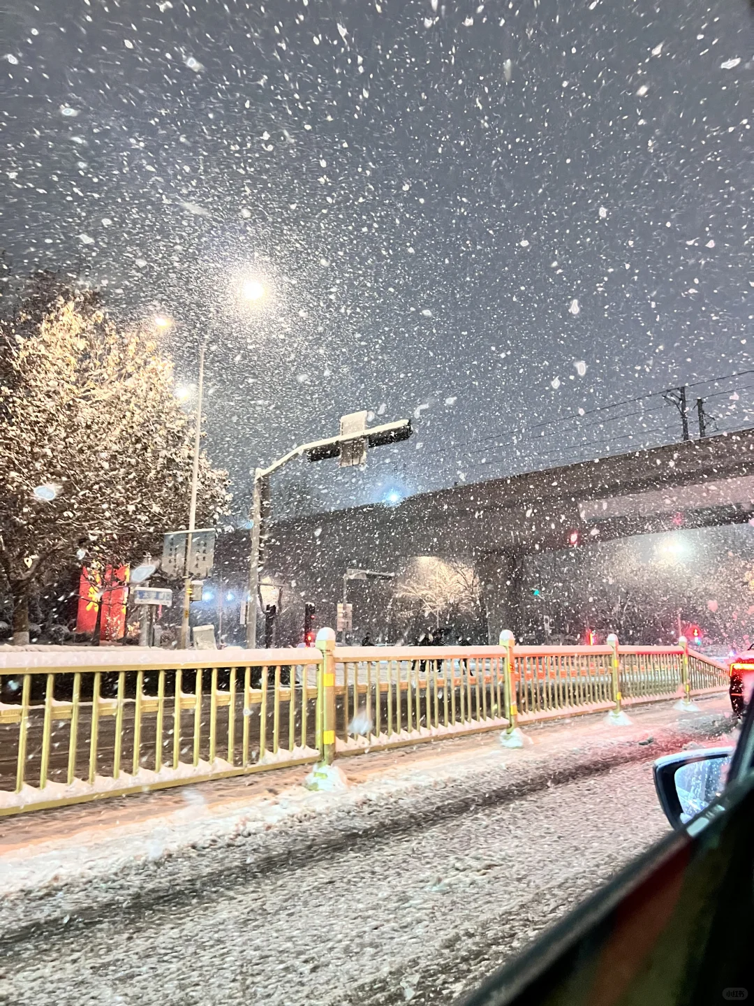 济南这场雪是要美死谁嘛🥹