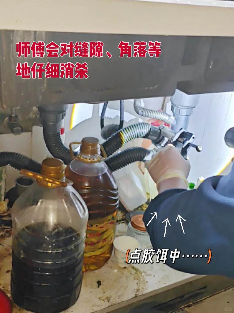 268的除虫套餐，千万别错过！（仅限济南）