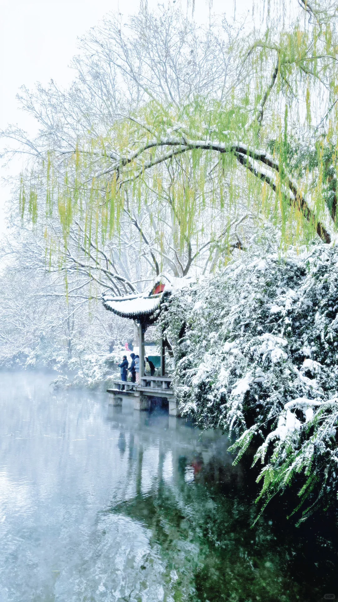 Live济南初雪！趵突泉在雪中沸腾成仙境️❄️