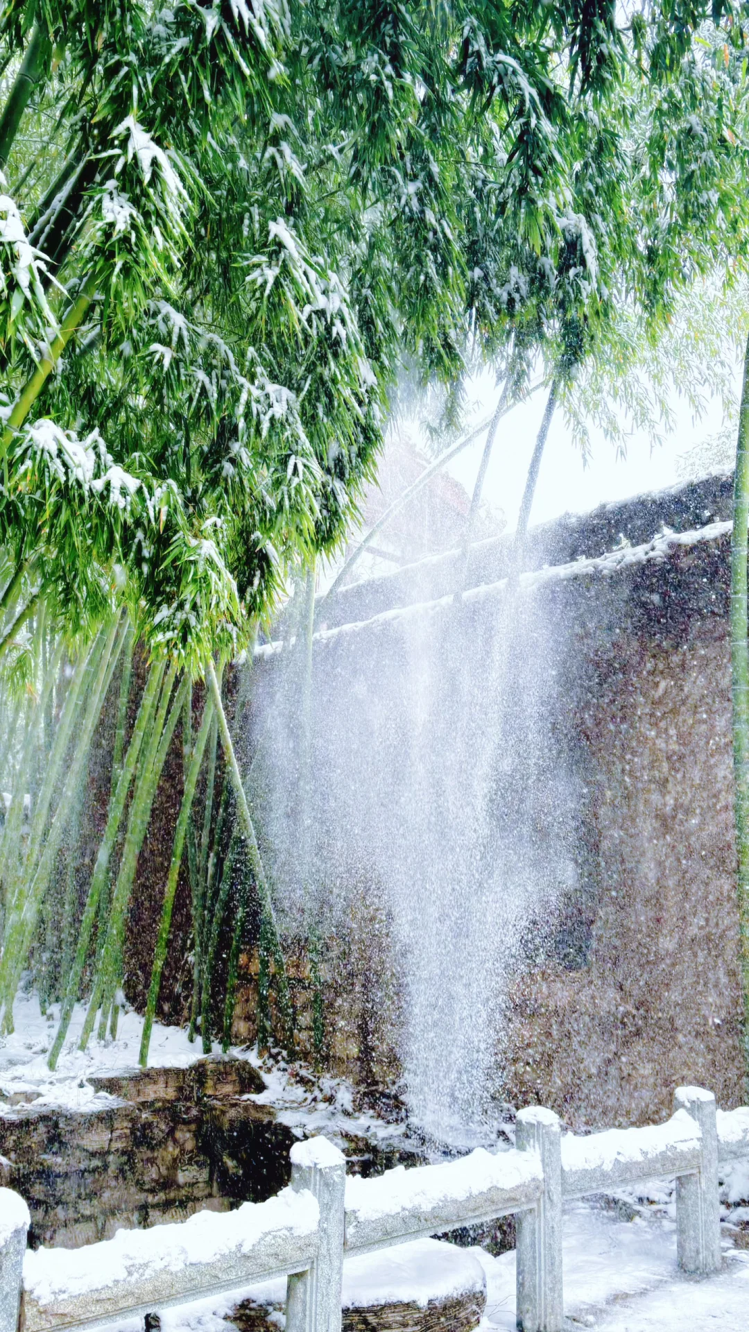 Live济南初雪！趵突泉在雪中沸腾成仙境️❄️