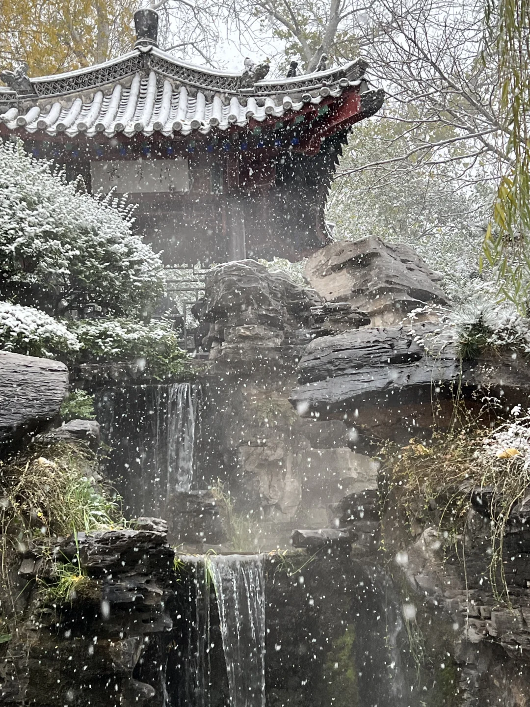 济南12.12实况。。。暴雪中的趵突泉杀疯了！！