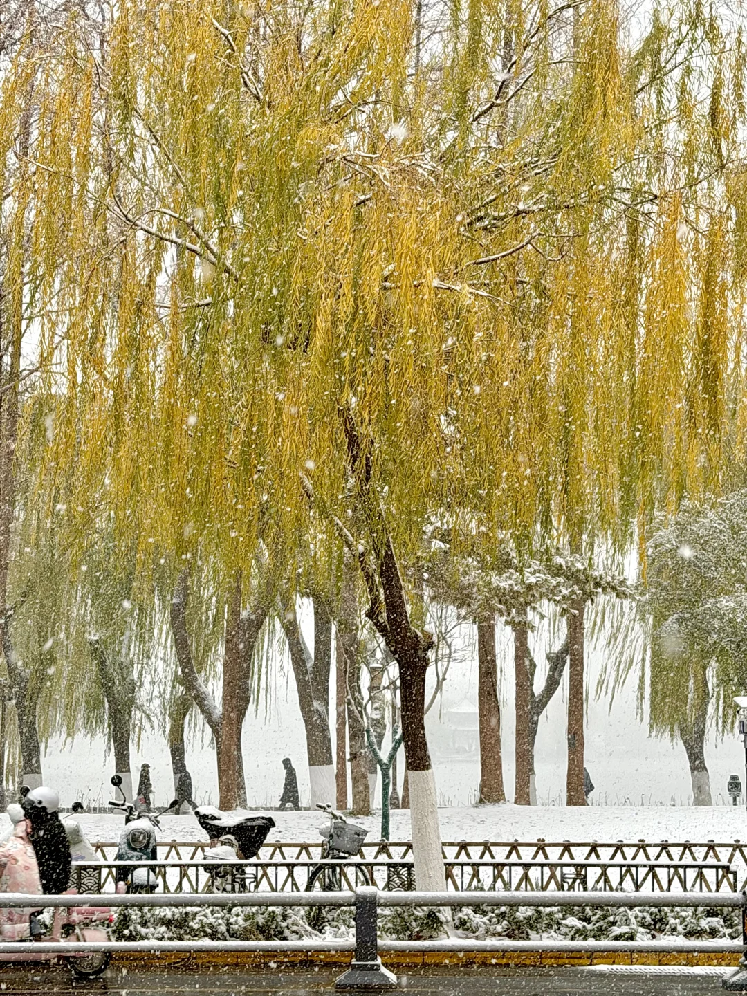 一夜之间！济南便成了济南府。。。（18张Live图！